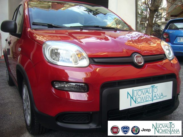 FIAT Panda usata, con Cruise Control