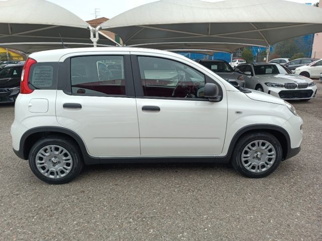 FIAT Panda usata, con Climatizzatore