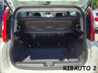 FIAT Panda usata, con Bracciolo