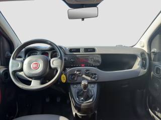 FIAT Panda usata 10