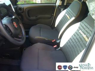 FIAT Panda Cross usata, con Sensori di parcheggio posteriori