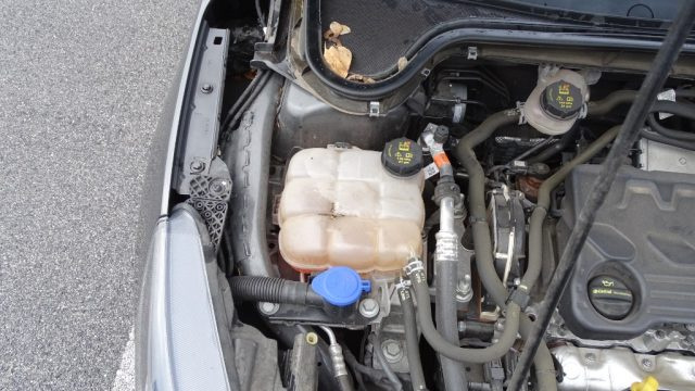 FORD Focus usata 125