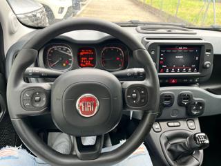 FIAT Panda Cross usata, con Autoradio
