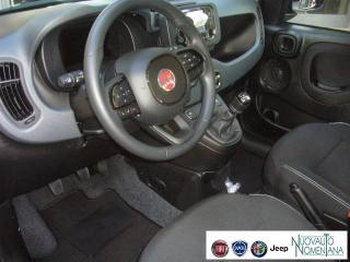 FIAT Panda usata, con Immobilizzatore elettronico