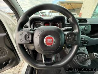 FIAT Panda usata 13