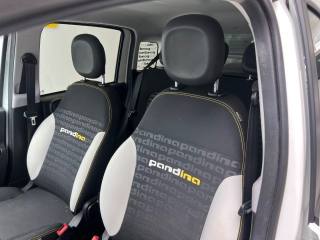 FIAT Panda usata, con Volante multifunzione