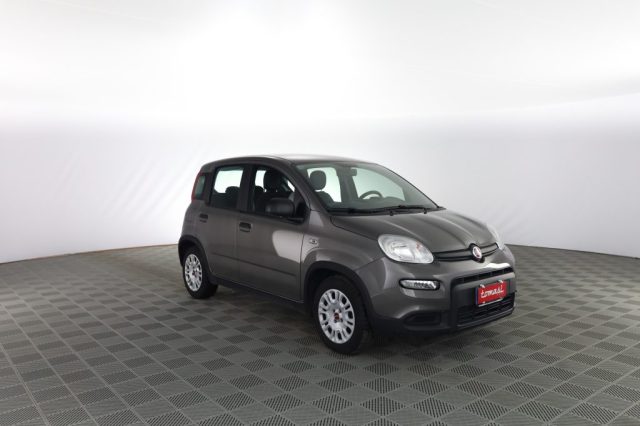 FIAT Panda usata 1