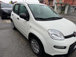 FIAT Panda usata, con Airbag