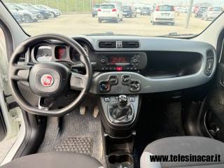 FIAT Panda usata, con Controllo trazione