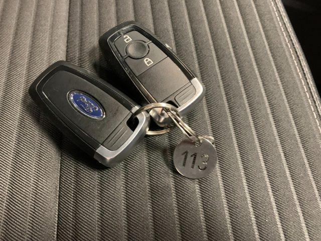 FORD EcoSport usata, con Autoradio digitale