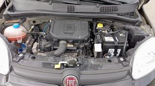 FIAT Panda usata 20