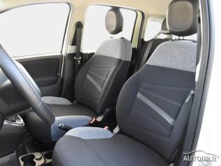 FIAT Panda usata 23