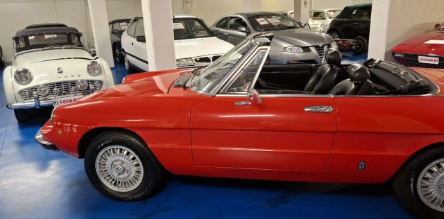 ALFA ROMEO Spider usata 39