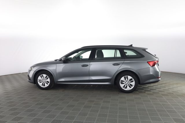 SKODA Octavia usata 5