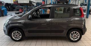 FIAT Panda usata, con Airbag Passeggero
