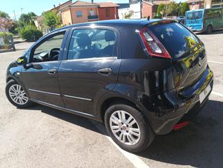 FIAT Punto usata, con Airbag Passeggero