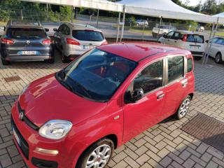 FIAT Panda usata, con Servosterzo