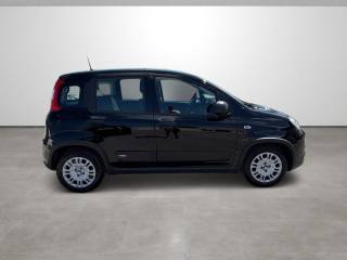 FIAT Panda usata, con Controllo trazione