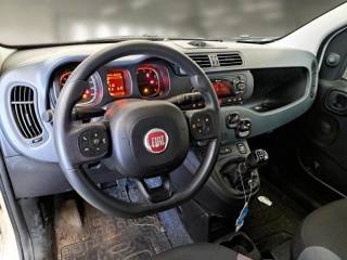 FIAT Panda usata, con Airbag Passeggero