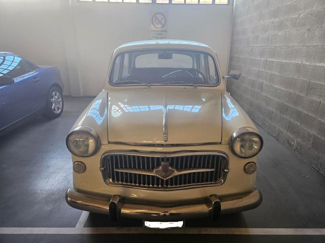 FIAT 1100 usata 1