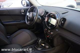 MINI Countryman usata, con Cruise Control
