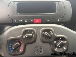 FIAT Panda usata 12