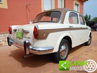 FIAT 1100 usata 7