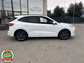 FORD Kuga usata, con Cronologia tagliandi