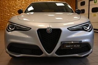 ALFA ROMEO Stelvio usata 80