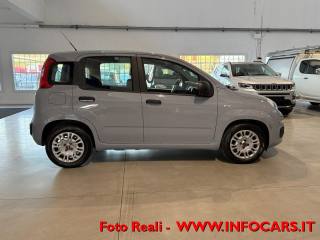 FIAT Panda usata 14