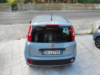 FIAT Panda usata, con Controllo trazione