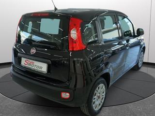 FIAT Panda usata 20