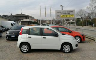 FIAT Panda usata, con Alzacristalli elettrici