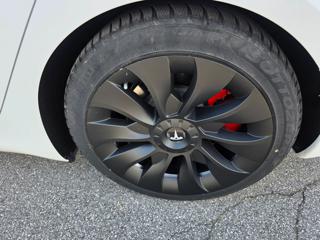 TESLA Model 3 usata, con Fendinebbia