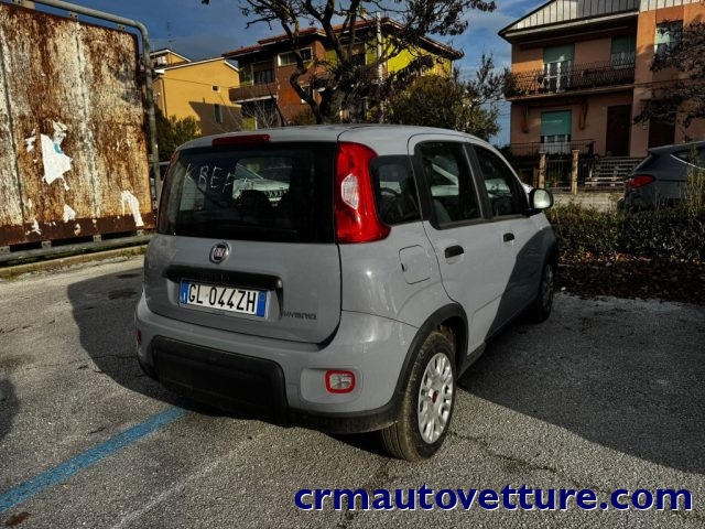 FIAT Panda usata, con Antifurto