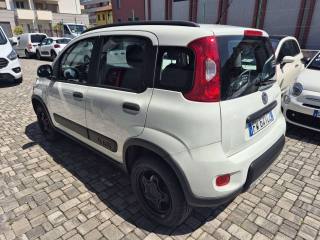 FIAT Panda usata, con Airbag Passeggero