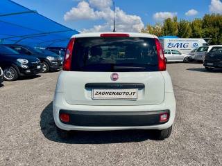 FIAT Panda usata 20