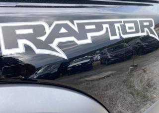 FORD Ranger Raptor usata, con Fendinebbia