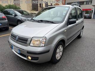FIAT Panda 1.2 Dynamic ***UNIOCA PROPRIETARIA***