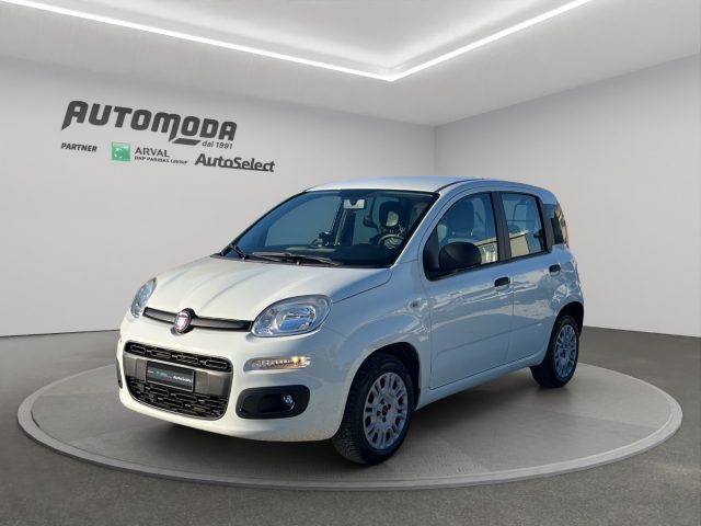FIAT Panda usata 0