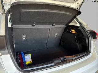FORD Focus usata, con Fendinebbia