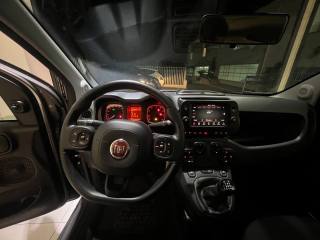 FIAT Panda usata, con Controllo automatico clima