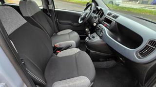 FIAT Panda usata 13
