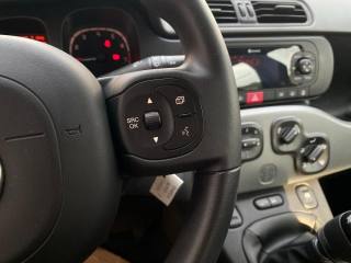 FIAT Panda usata, con Volante multifunzione