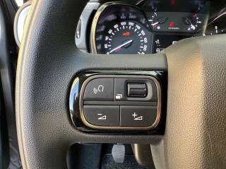 CITROEN C3 usata 21