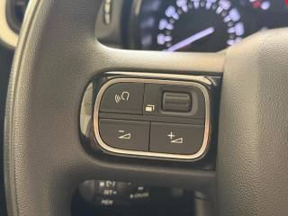 CITROEN C3 usata, con Controllo elettronico della corsia