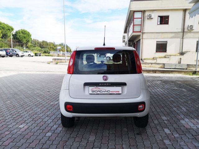 FIAT Panda usata, con Alzacristalli elettrici