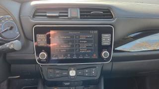 NISSAN Leaf usata, con Bracciolo