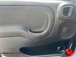 FIAT Panda usata, con Controllo trazione