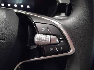 SKODA Fabia usata 17